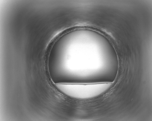 X0000066541311200603171045