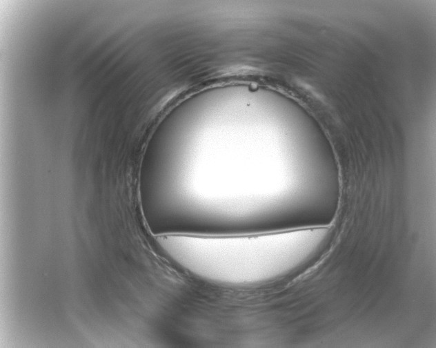 X0000066541313200603171045