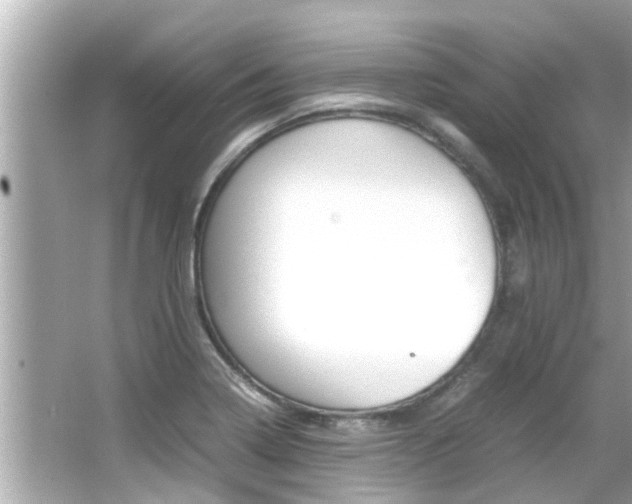 X0000066541322200603171045