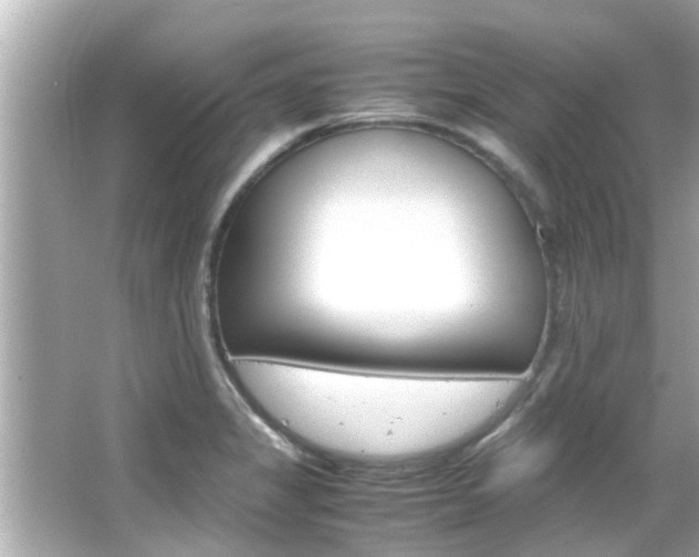 X0000066541325200603171045