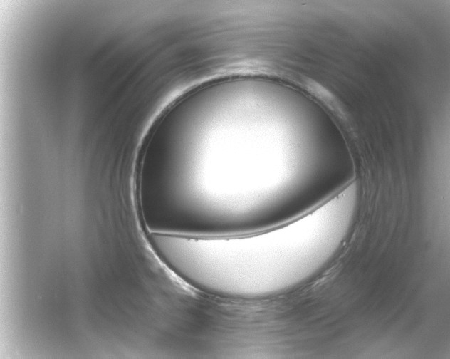 X0000066541334200603171045