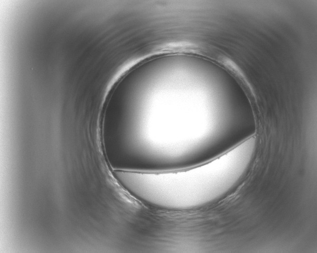 X0000066541336200603171045