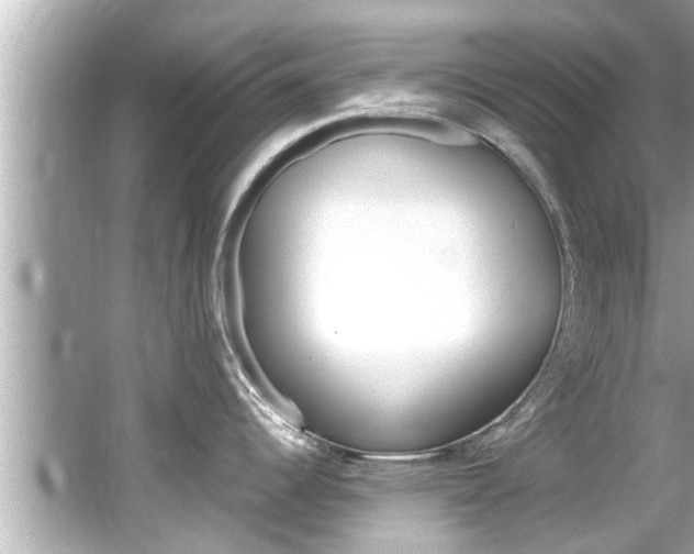 X0000066541344200603171045