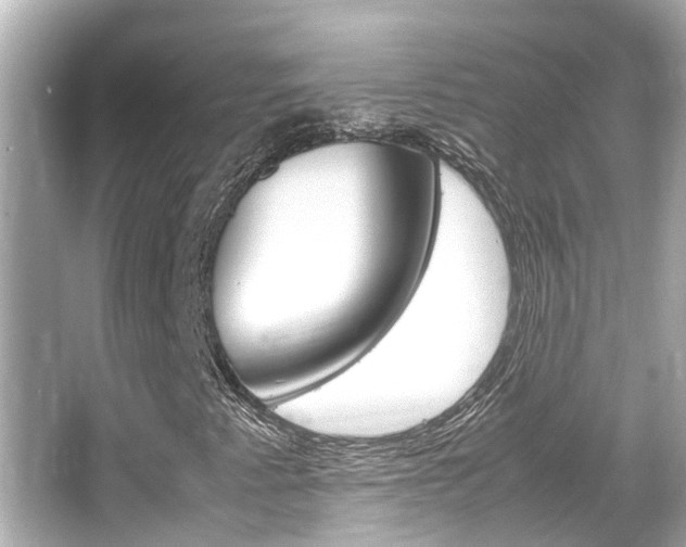 X0000066541345200603171044