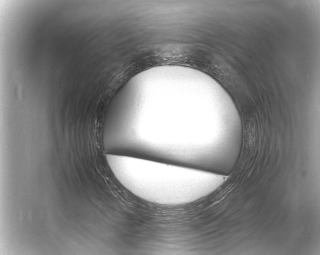 X0000066541346200603171044