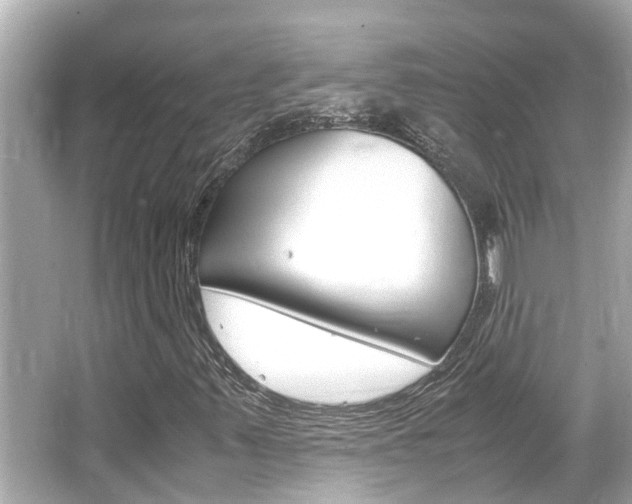 X0000066541347200603171044