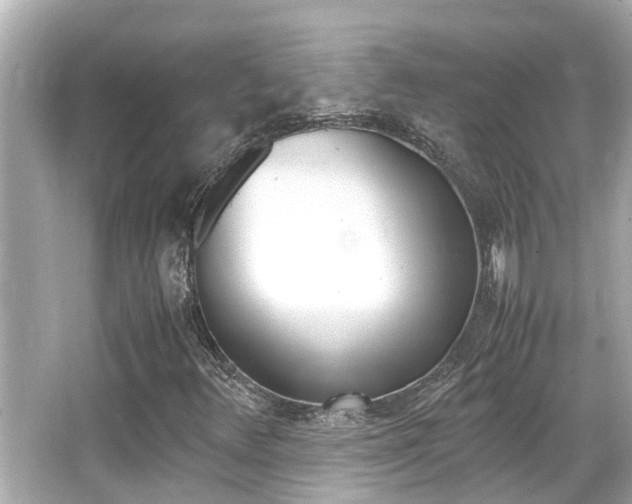 X0000066541348200603171044
