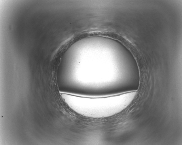 X0000066541351200603171044