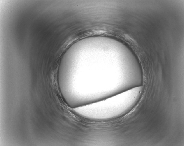X0000066541353200603171044