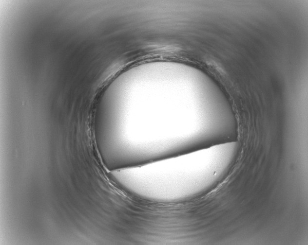X0000066541354200603171044