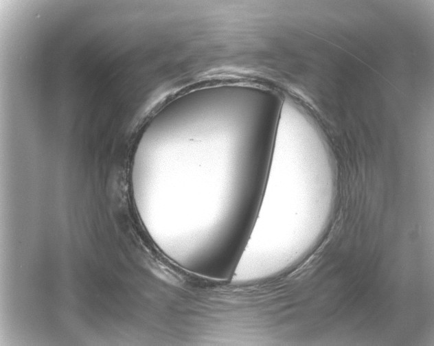 X0000066541355200603171044