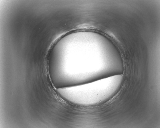 X0000066541358200603171044