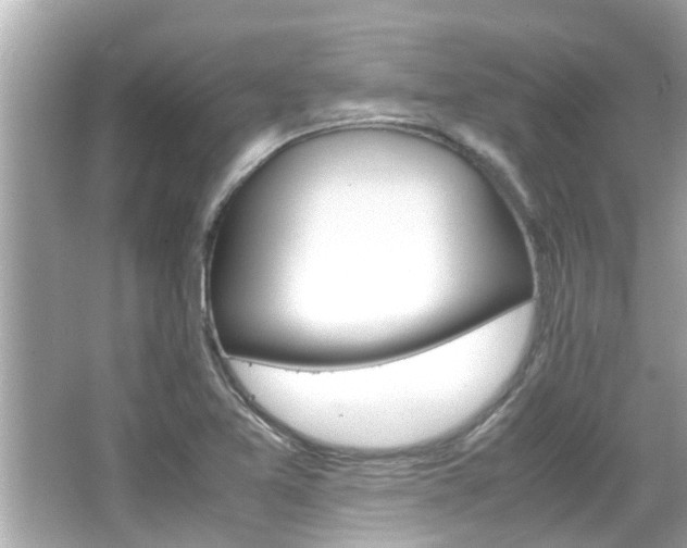 X0000066541365200603171044