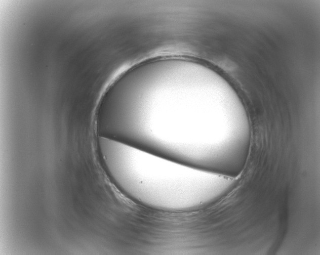 X0000066541366200603171044