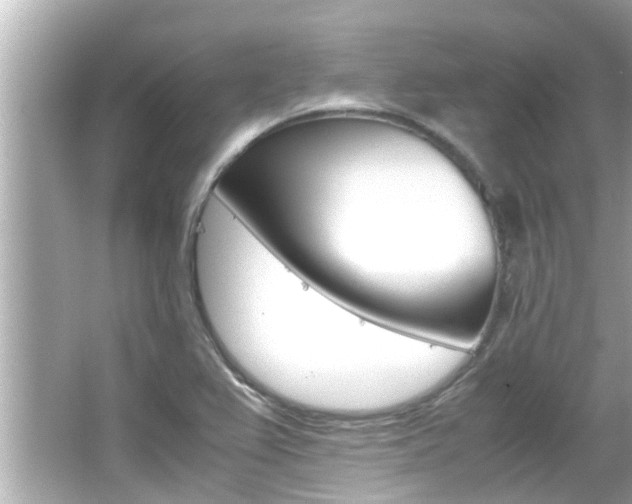 X0000066541367200603171044