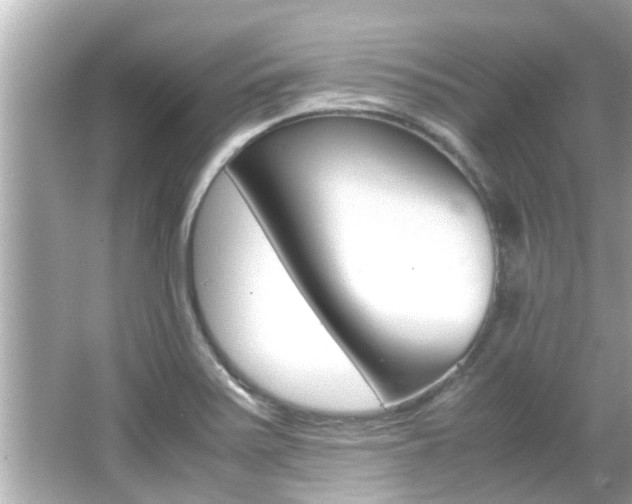 X0000066541371200603171044