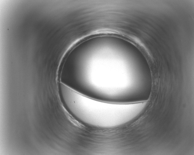 X0000066541372200603171044