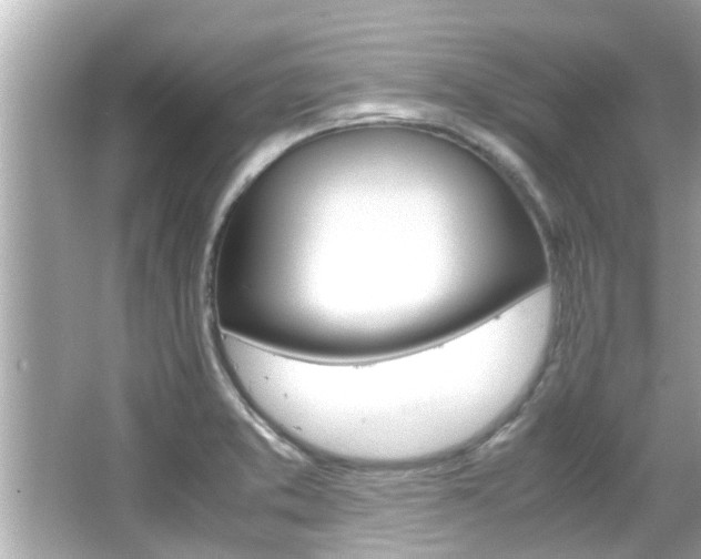 X0000066541373200603171044