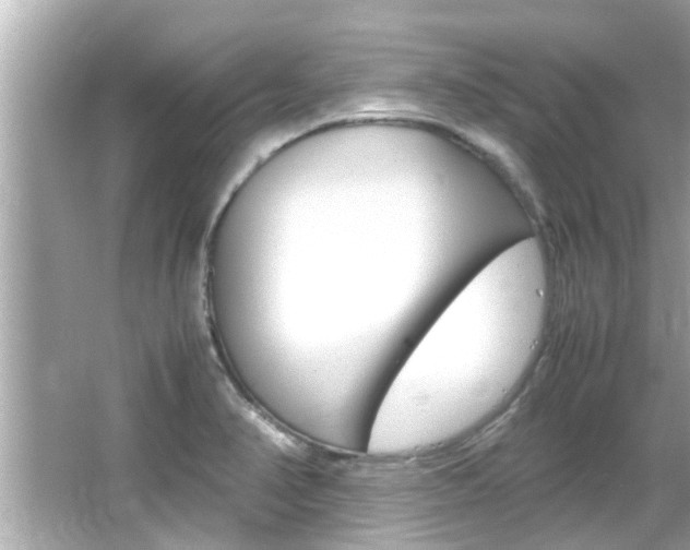 X0000066541374200603171044