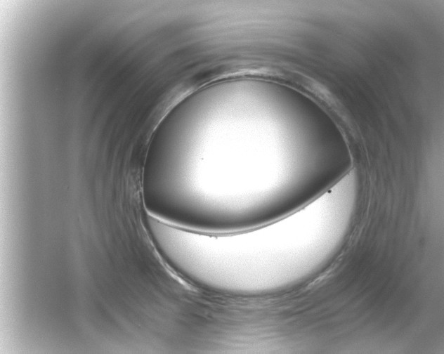 X0000066541377200603171044
