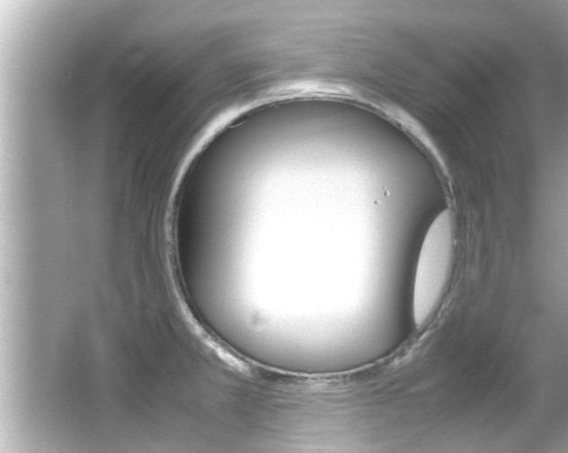 X0000066541381200603171044