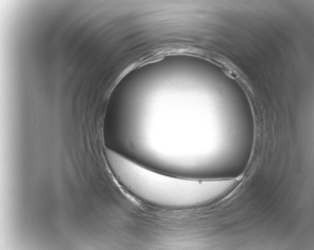 X0000066541385200603171044