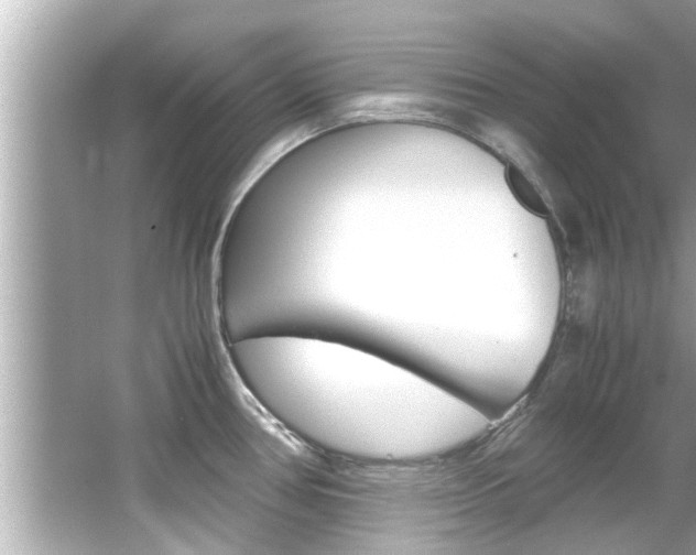X0000066541386200603171044