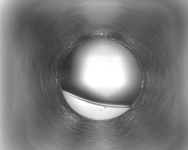 X0000066541394200603171043