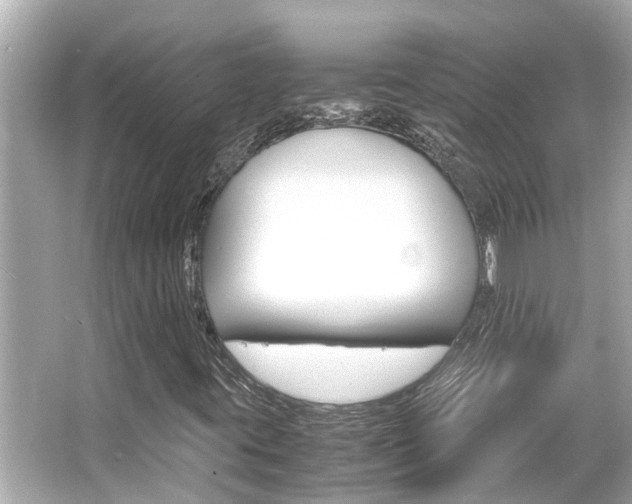 X0000066541395200603171043