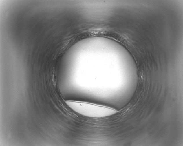 X0000066541396200603171043