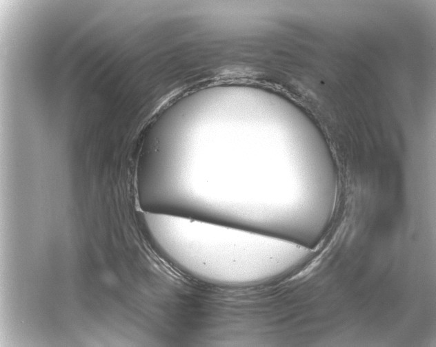 X0000066541401200603171043