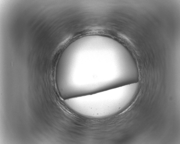 X0000066541403200603171043