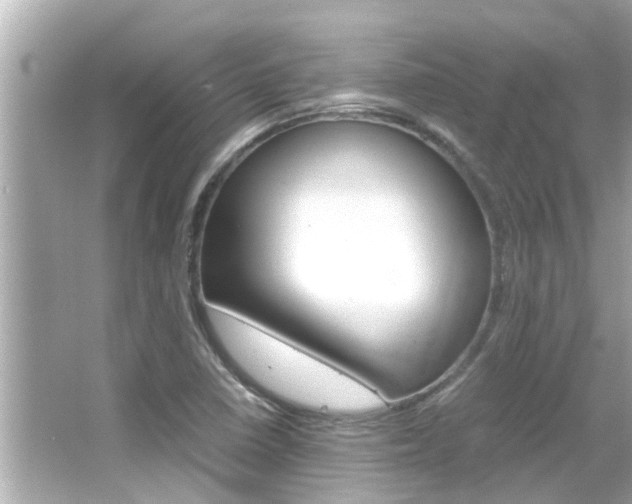 X0000066541410200603171043