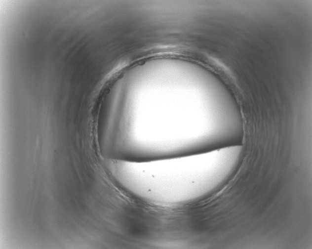 X0000066541411200603171043