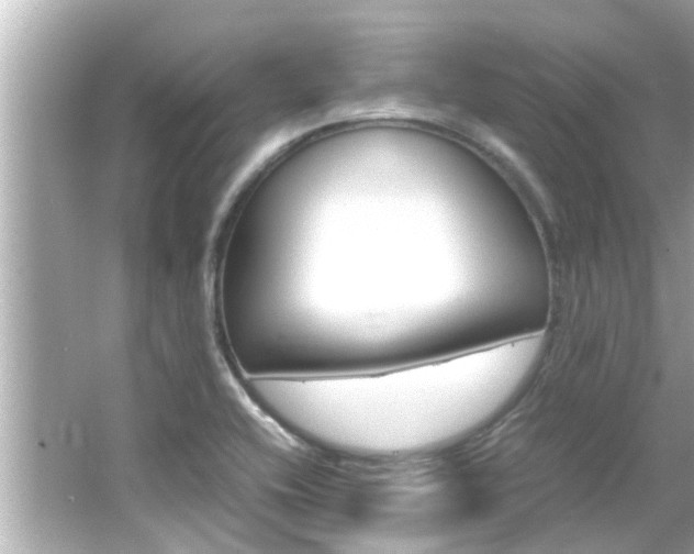 X0000066541416200603171043