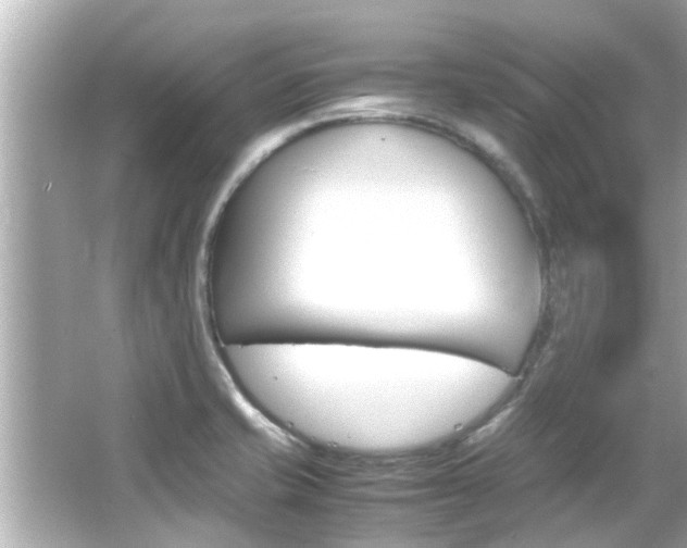 X0000066541421200603171043