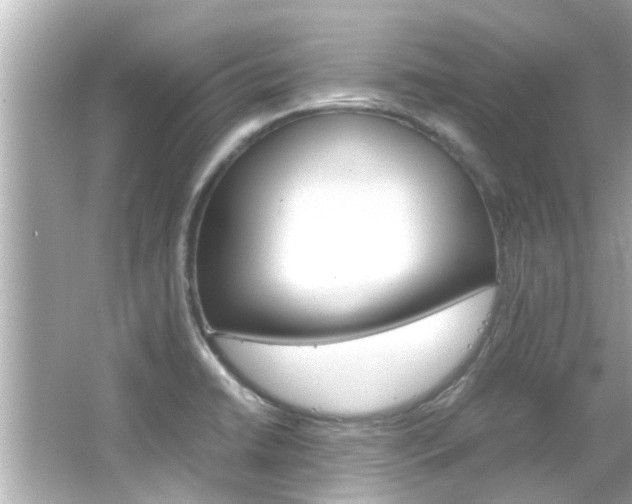 X0000066541422200603171043