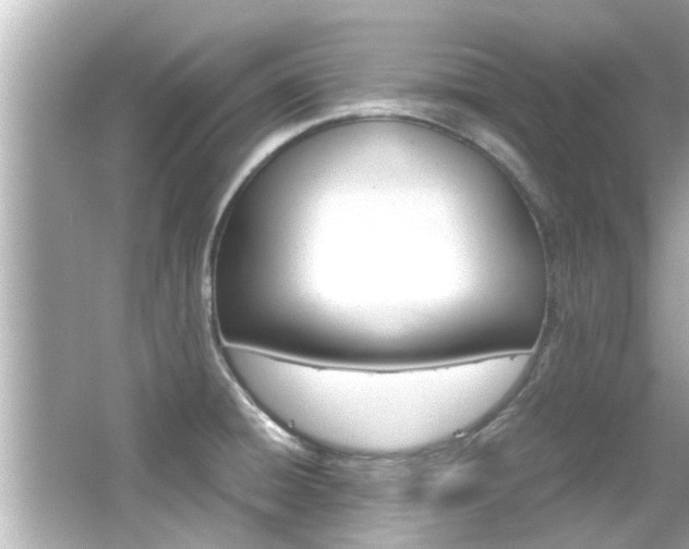 X0000066541428200603171043