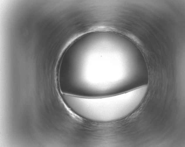 X0000066541430200603171043
