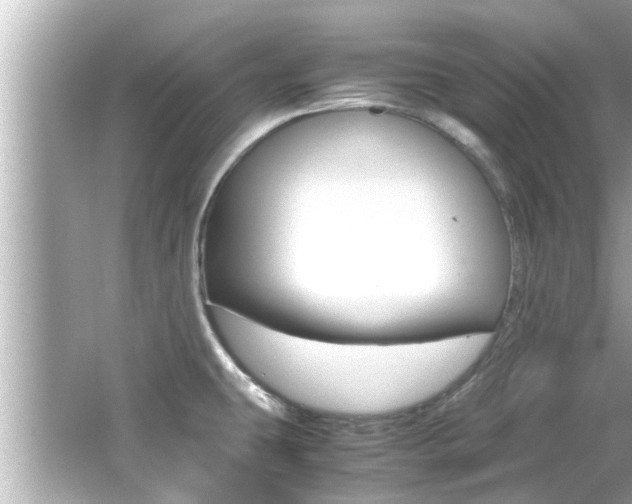 X0000066541431200603171043