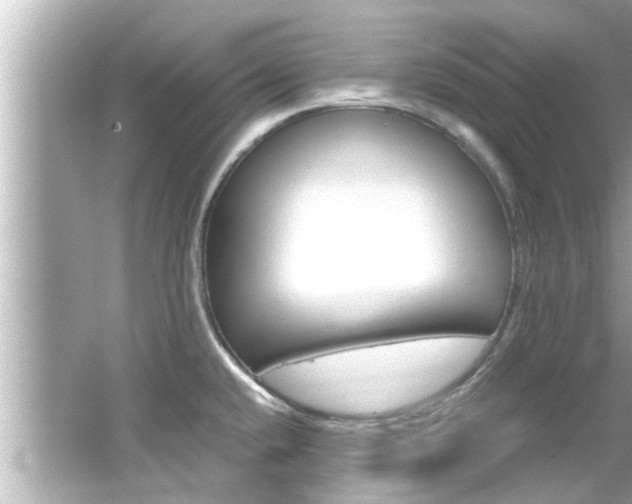 X0000066541432200603171043