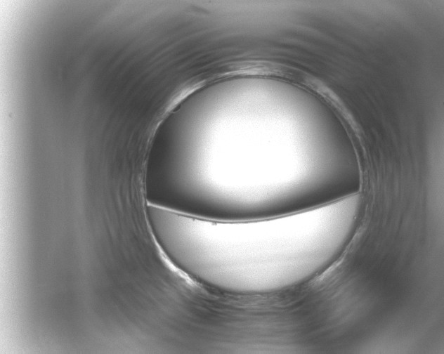 X0000066541433200603171043