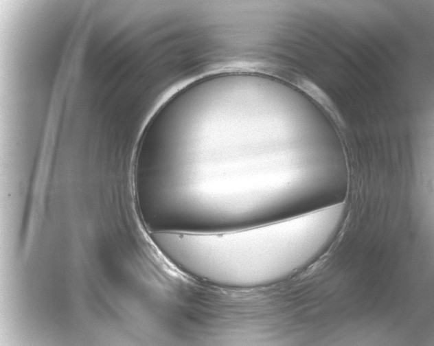 X0000066541436200603171044