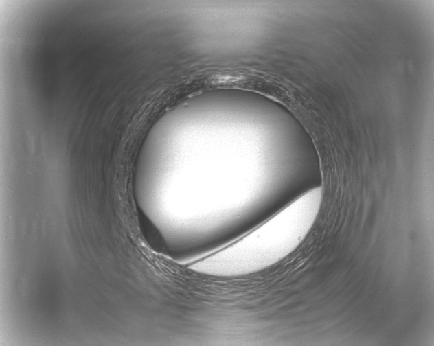 X0000066541441200603171043