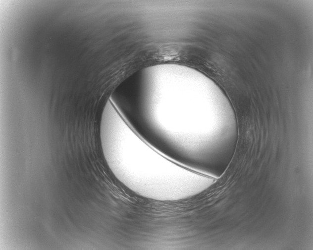 X0000066541442200603171043