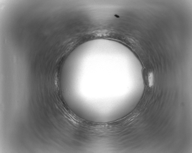 X0000066541444200603171043