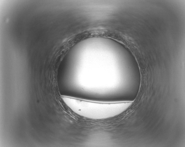 X0000066541445200603171043