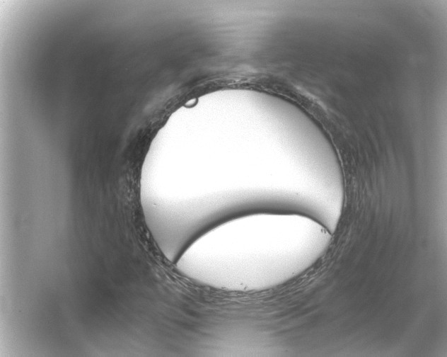 X0000066541447200603171043