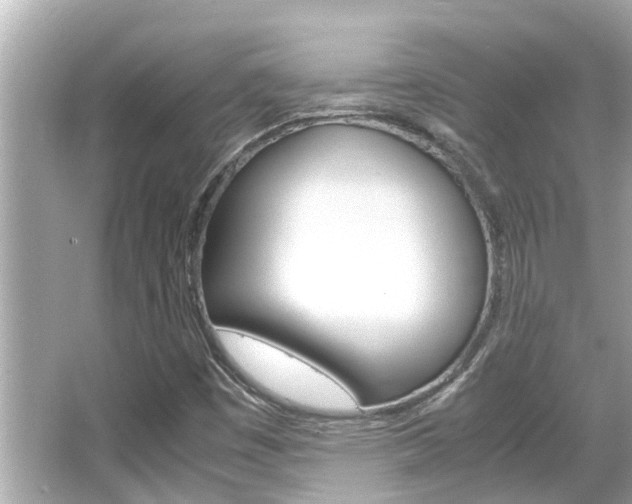 X0000066541449200603171043