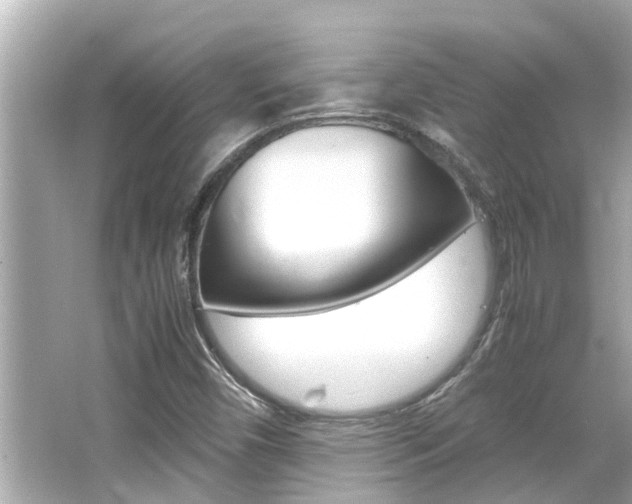 X0000066541450200603171043